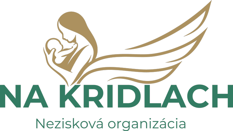 Na krídlach - logo